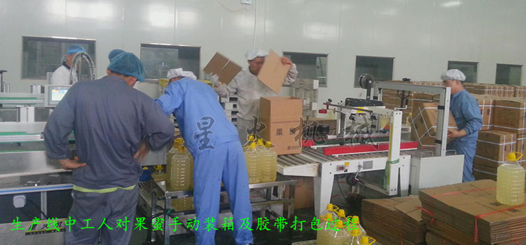 消防粉灌裝生產線,全自動粉末灌裝生產線